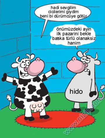 Sütaş karikatürleri Nizip.com'da Olursa.