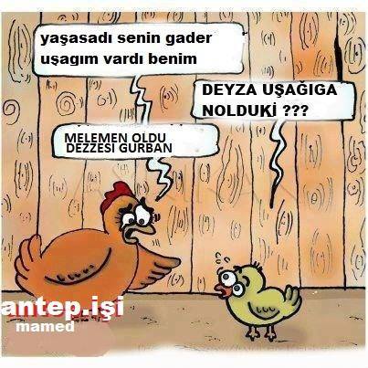 Rafıklar Günüüüz Gutlu Olsun Yorum...