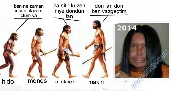 Nizipcom evrim teorisi
