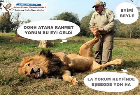 Rafıklar Günüüüz Gutlu Olsun Yorum...