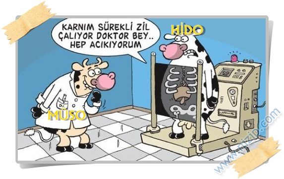 Sütaş karikatürleri Nizip.com'da Olursa.