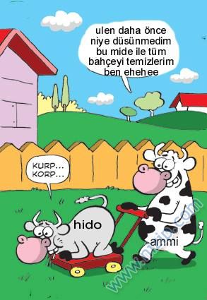 Sütaş karikatürleri Nizip.com'da Olursa.