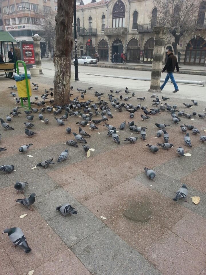 Rafıklar Günüüüz Gutlu Olsun Yorum...