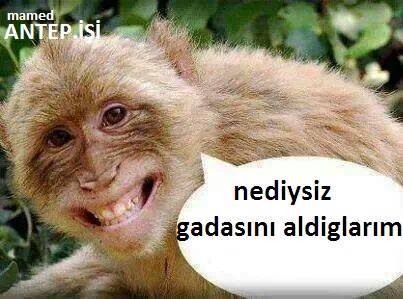 Rafıklar Günüüüz Gutlu Olsun Yorum...