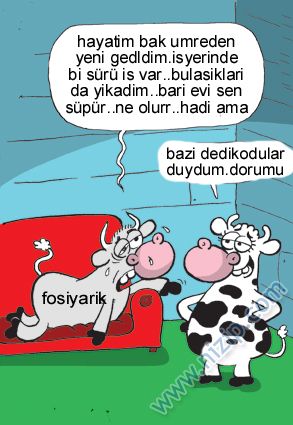 Sütaş karikatürleri Nizip.com'da Olursa.