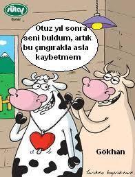 Sütaş karikatürleri Nizip.com'da Olursa.