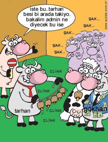 Sütaş karikatürleri Nizip.com'da Olursa.