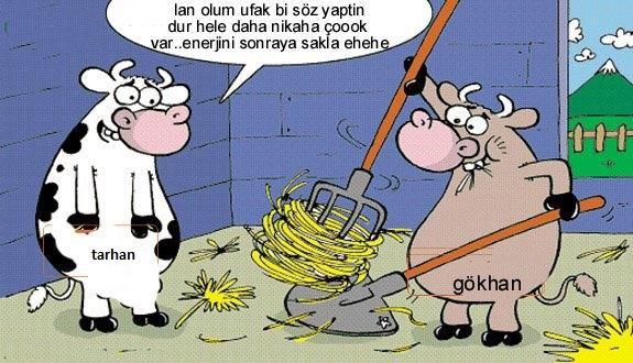 Sütaş karikatürleri Nizip.com'da Olursa.
