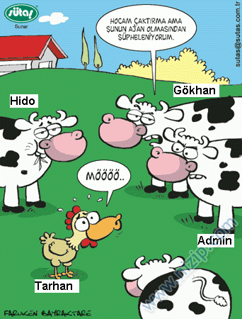 Sütaş karikatürleri Nizip.com'da Olursa.