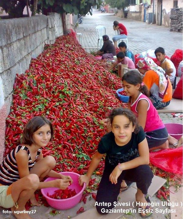 Rafıklar Günüüüz Gutlu Olsun Yorum...