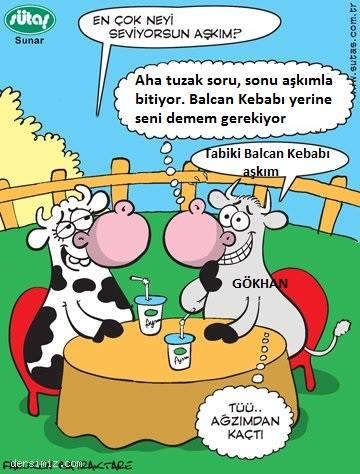 Sütaş karikatürleri Nizip.com'da Olursa.