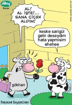 Sütaş karikatürleri Nizip.com'da Olursa.