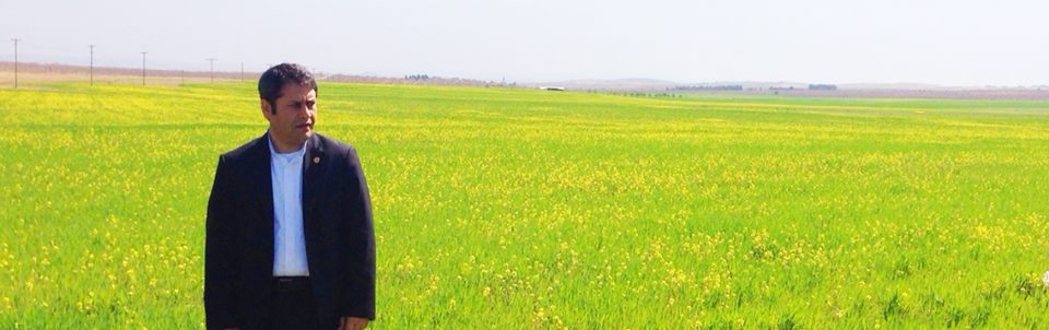 Ali Şahin Mesajları