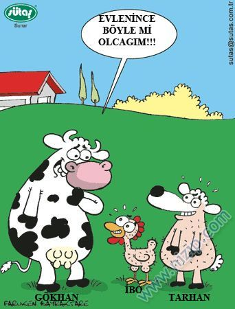 Sütaş karikatürleri Nizip.com'da Olursa.