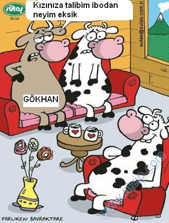 Sütaş karikatürleri Nizip.com'da Olursa.