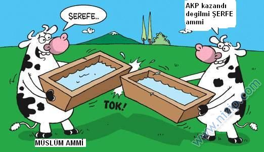 Sütaş karikatürleri Nizip.com'da Olursa.