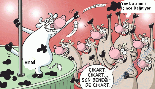 Sütaş karikatürleri Nizip.com'da Olursa.
