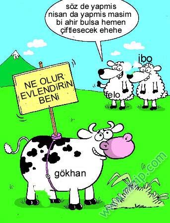 Sütaş karikatürleri Nizip.com'da Olursa.