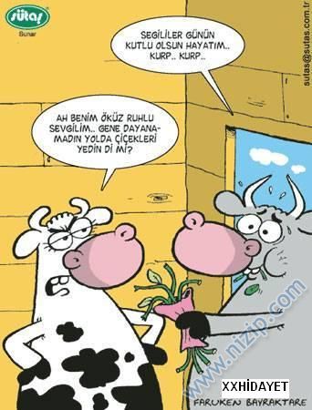 Sütaş karikatürleri Nizip.com'da Olursa.