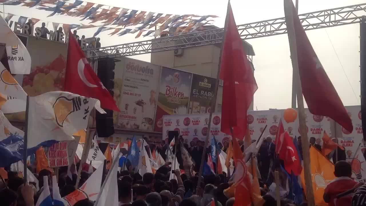 Ali Şahin Mesajları