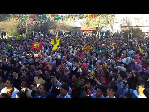 Video: Nizip newrozu