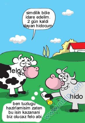 Sütaş karikatürleri Nizip.com'da Olursa.