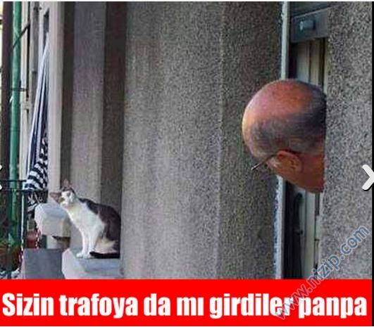 Sütaş karikatürleri Nizip.com'da Olursa.