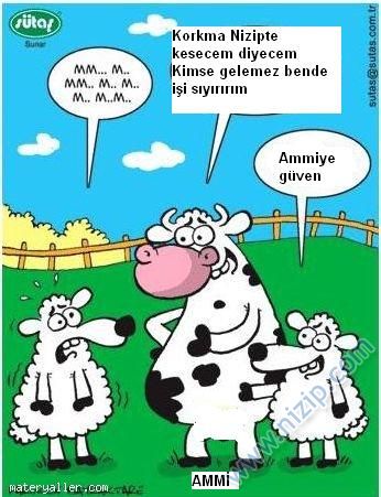 Sütaş karikatürleri Nizip.com'da Olursa.
