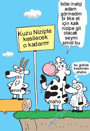Sütaş karikatürleri Nizip.com'da Olursa.
