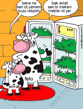 Sütaş karikatürleri Nizip.com'da Olursa.