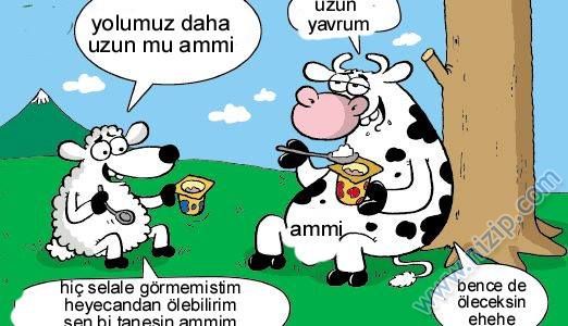 Sütaş karikatürleri Nizip.com'da Olursa.