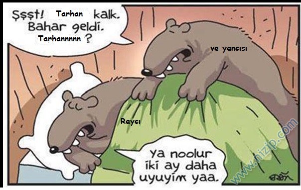 Sütaş karikatürleri Nizip.com'da Olursa.