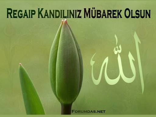 Nizip Spor mesajları