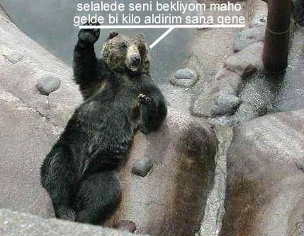 Sütaş karikatürleri Nizip.com'da Olursa.