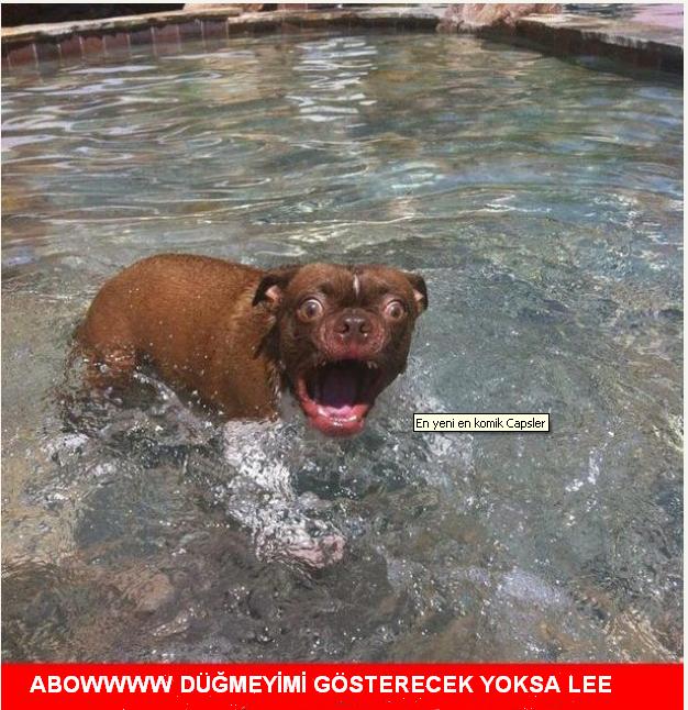 Sütaş karikatürleri Nizip.com'da Olursa.