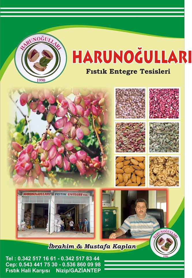 Ben Nizipliyim Kitabı