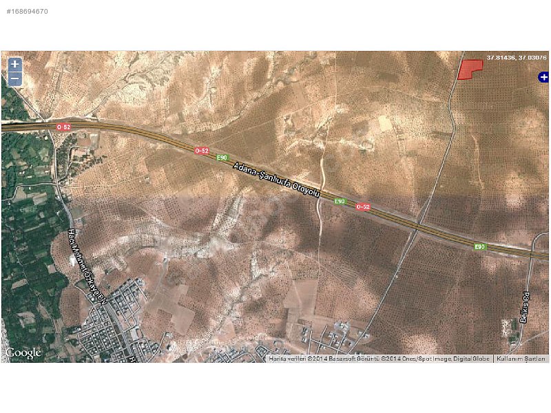 Zergil yolunda  Zeytinlik