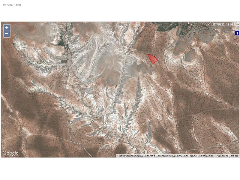 Taşbaşta 6200m2 Bağ & Bahçe Taşbaşta 6200m2 Bağ & Bahçe