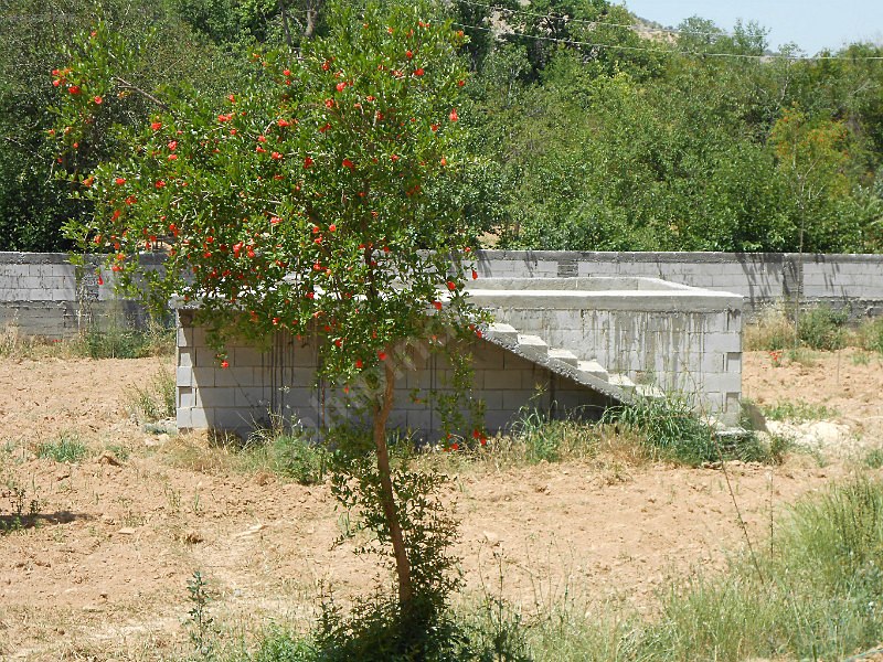 Bag evi içerisinde 2 katlı ev ve eşya ile birlikte