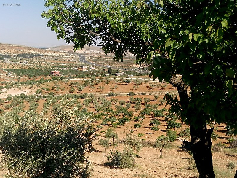 Sahibinden Kocatepede BağEvlikYatırımlık Arazi