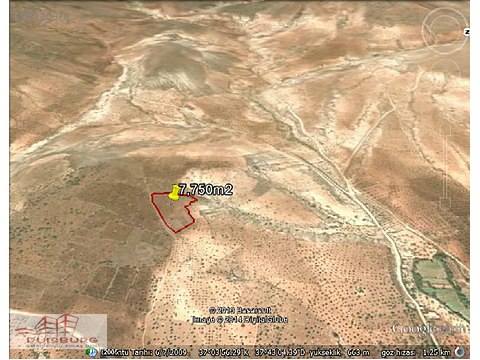 DUİSBURG GAYRIMENKULDEN YENİYAZIDA 7,750m2 YATIRIM YERİ DUİSBURG GAYRIMENKULDEN YENİYAZIDA 7,750m2 YATIRIM YERİ
