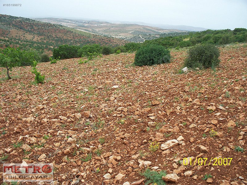 Satlık nizip kocatepe de yola sıfır tarla