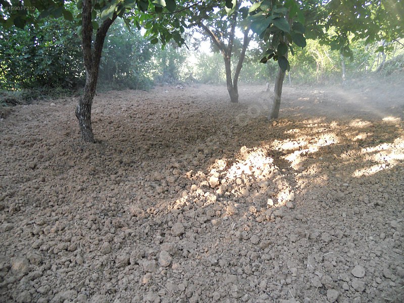 Sahibinden uluyatırda bahçe