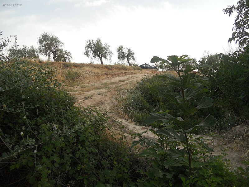 Sahibinden uluyatırda bahçe
