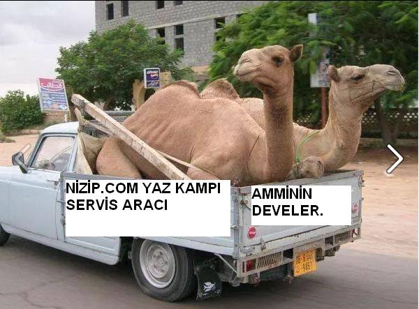 Sütaş karikatürleri Nizip.com'da Olursa.