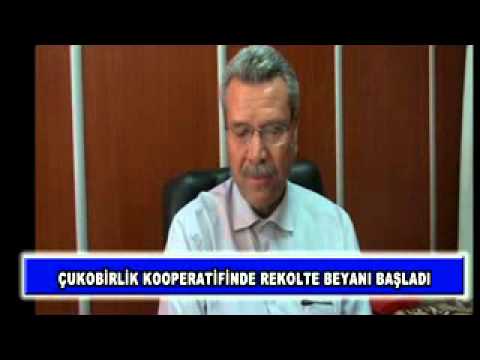 çukobirlik kooperatifinde rekolte beyanı başladı
