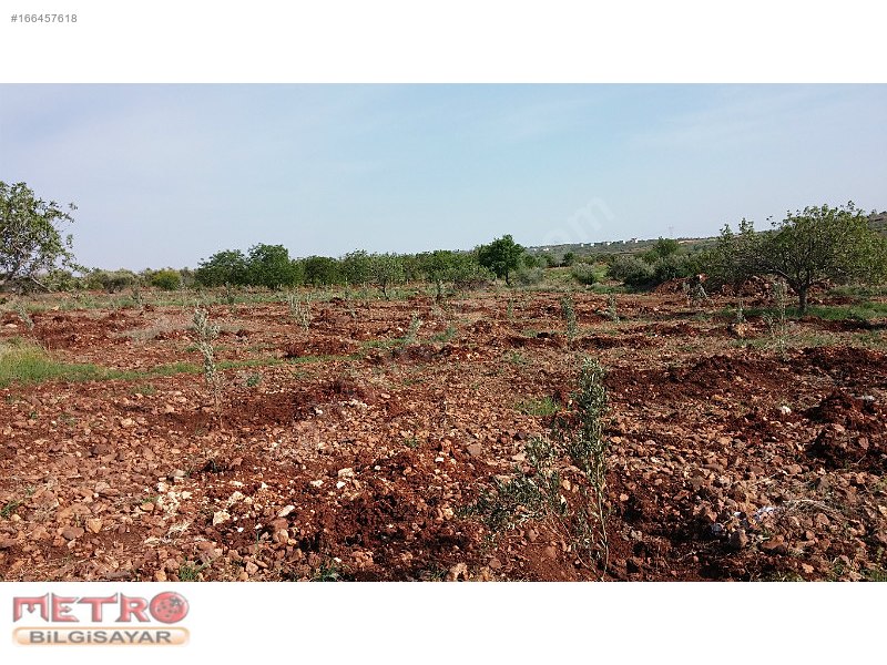 Nizip kocatepe satlık arazi 2200 metre 40 bin tl ye