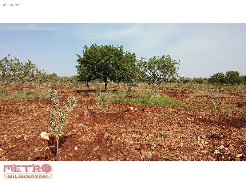 Nizip kocatepe satlık arazi 2200 metre 40 bin tl ye