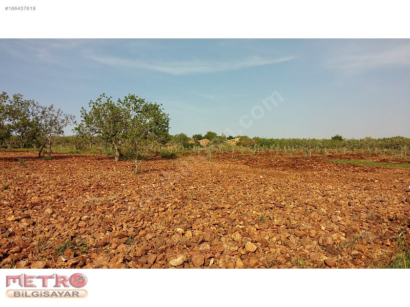 Nizip kocatepe satlık arazi 2200 metre 40 bin tl ye