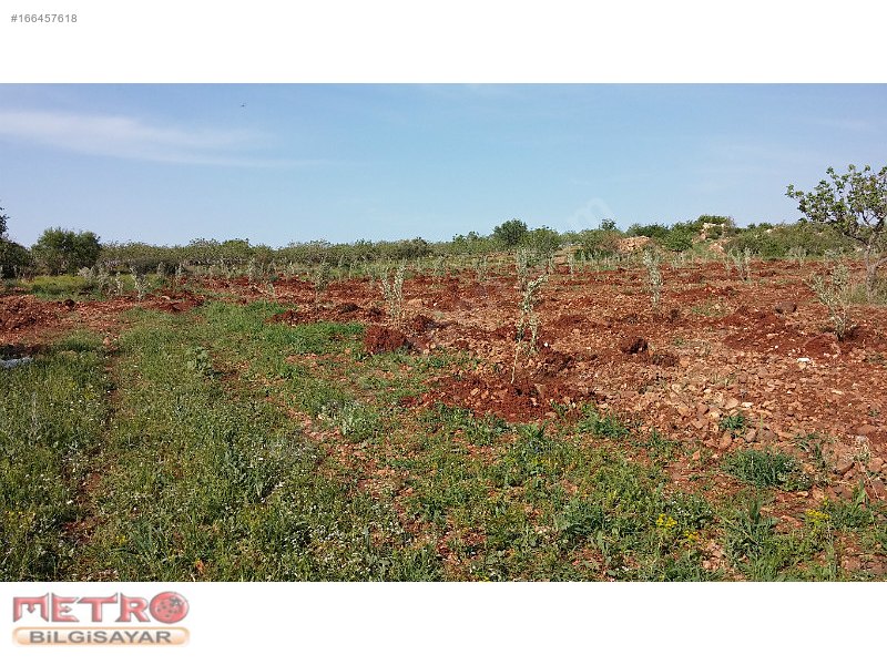 Nizip kocatepe satlık arazi 2200 metre 40 bin tl ye